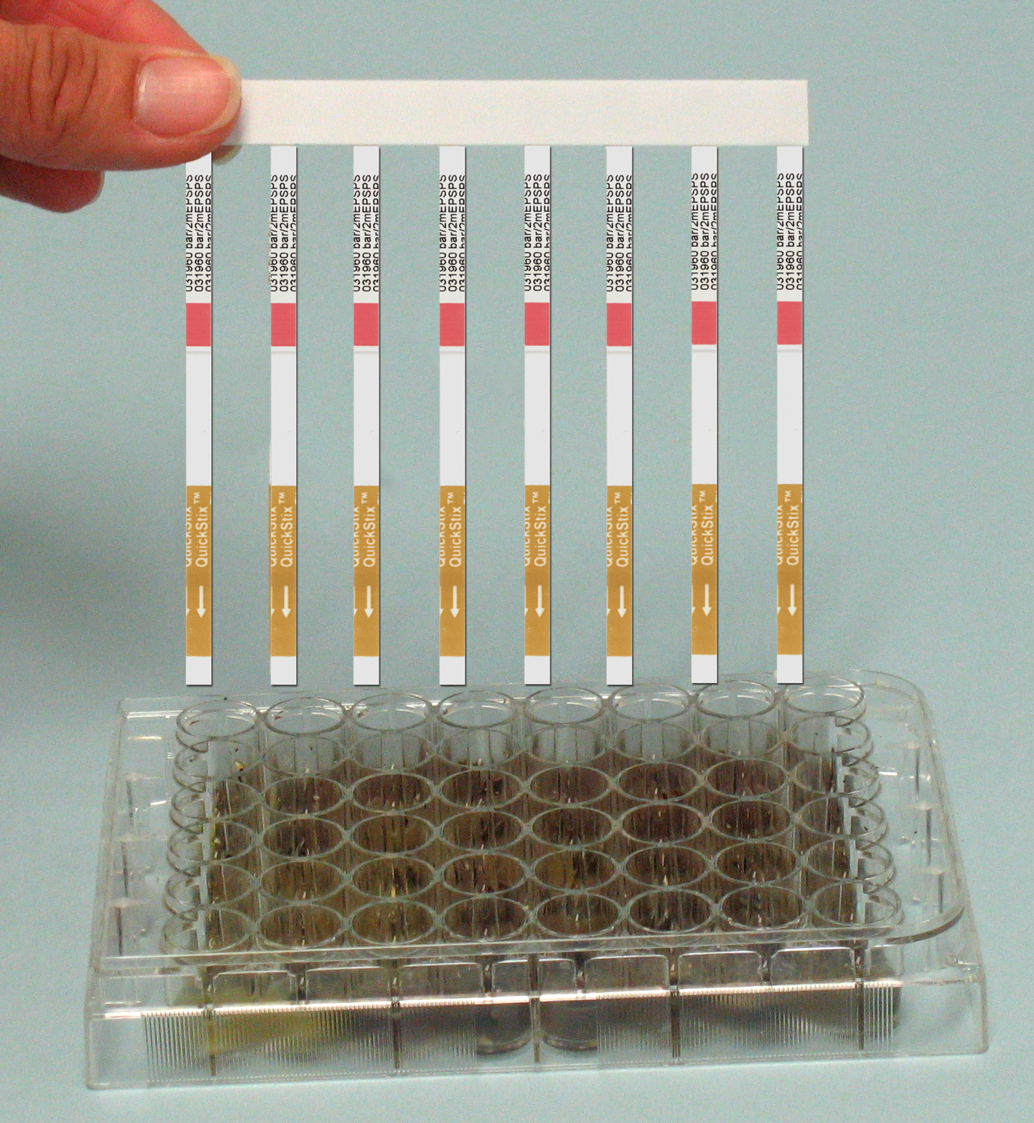LL2mcomboverplate copy cotton comb and plate