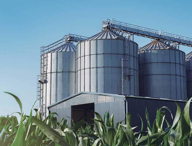 Grain elevator silo beside corn field
