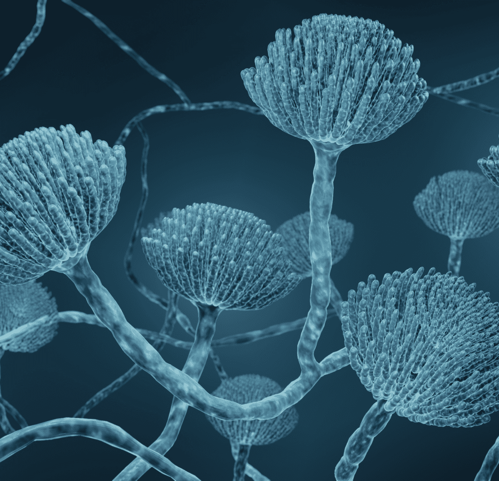 Introducing the Total Mycotoxin Solution EnviroLogix